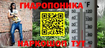 гашик Можайск