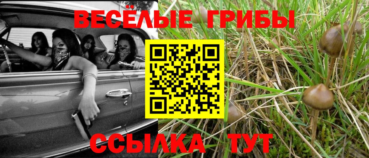 Галлюциногенные грибы GOLDEN TEACHER Сухой Лог
