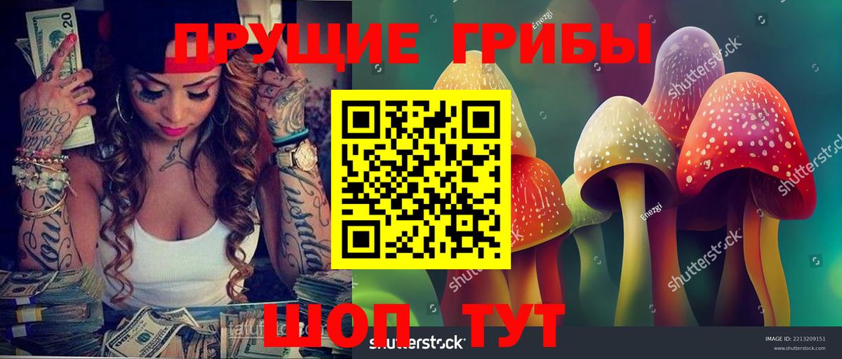 Галлюциногенные грибы Magic Shrooms  даркнет сайт  Сухой Лог  Вход с VPN 