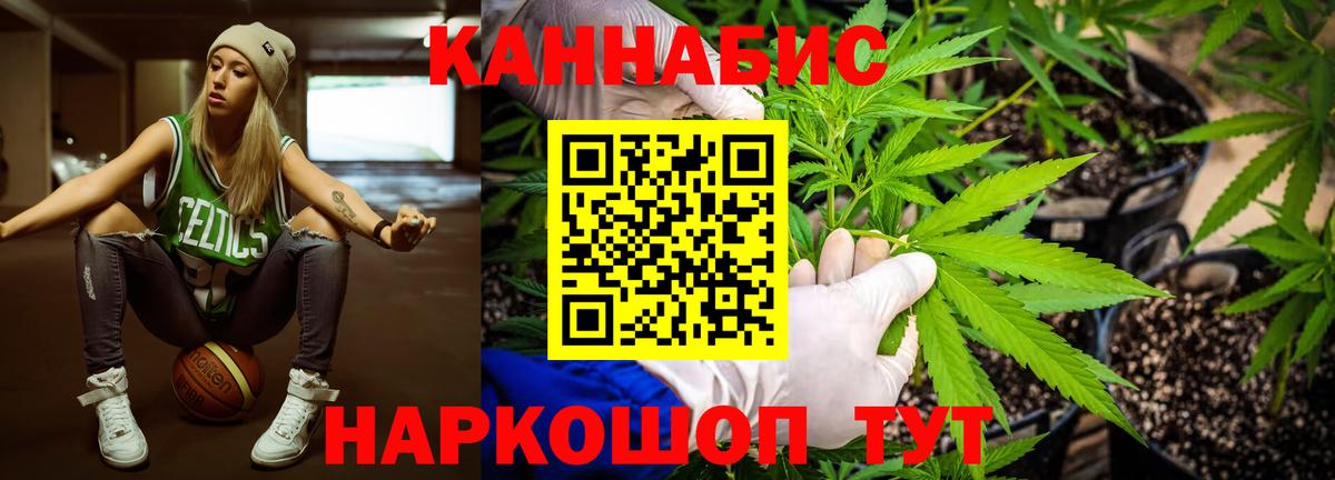 Конопля Amnesia Сухой Лог